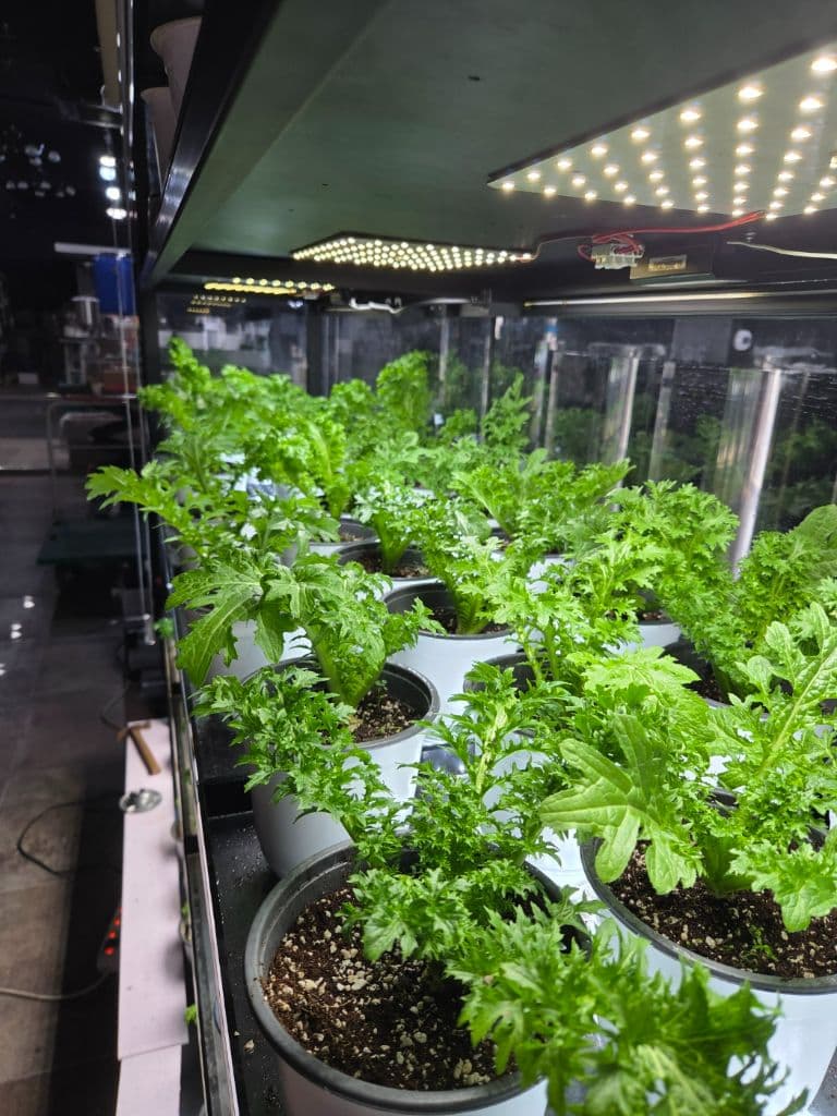 자동화 재배 시설