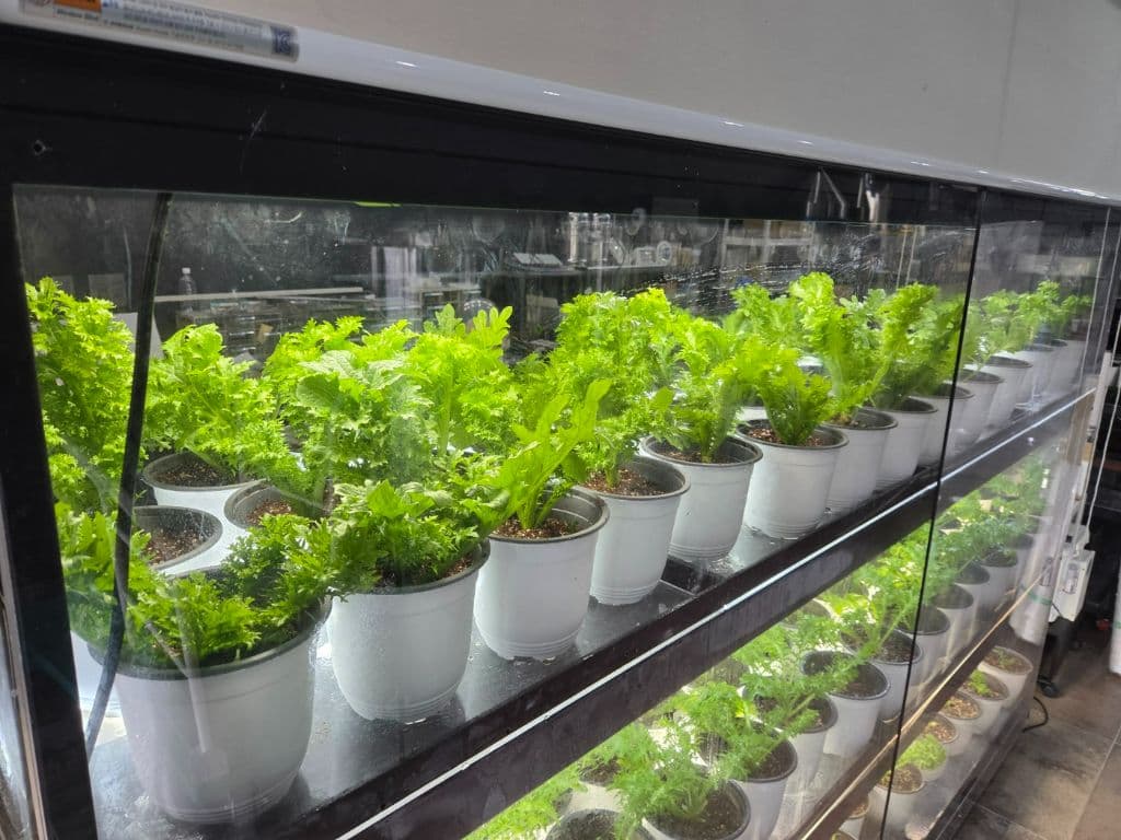 대규모 생산 라인